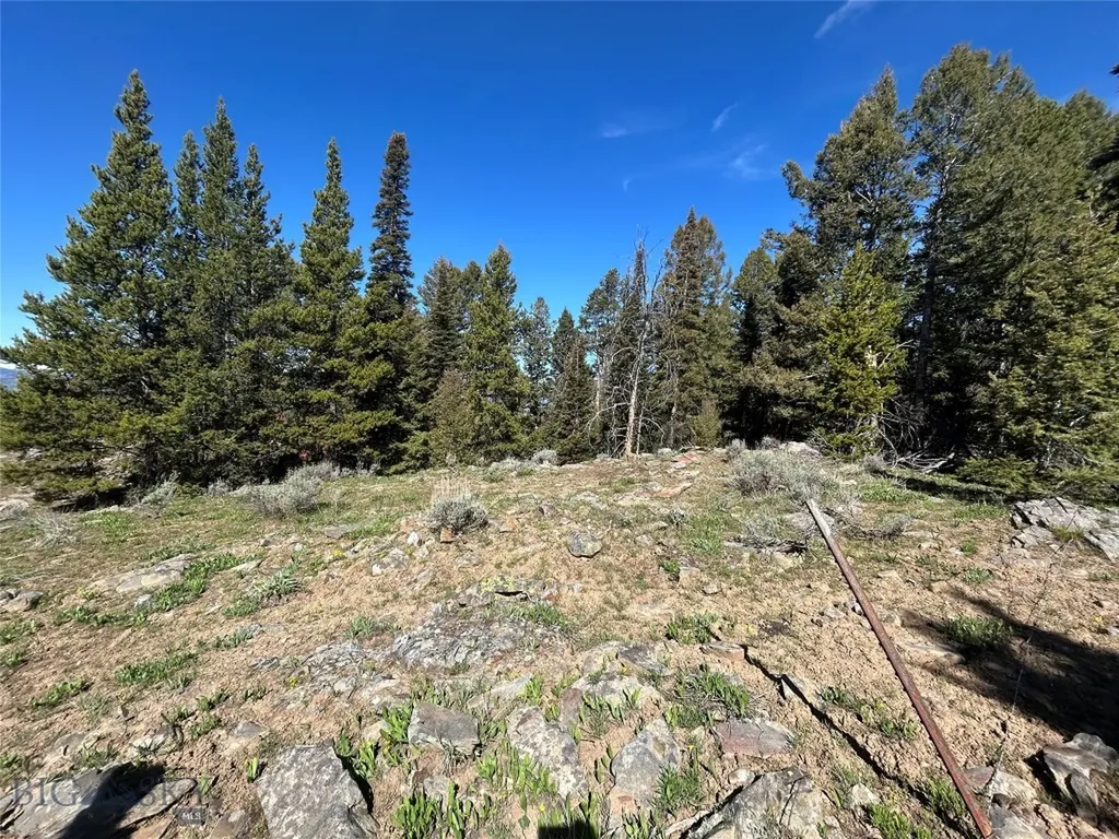 384 Crevice Road Jardine MT 59030