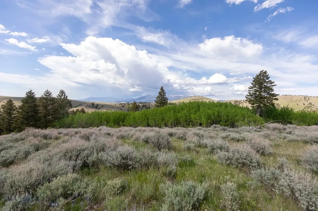 386 Ross Gulch Road Townsend MT 59644