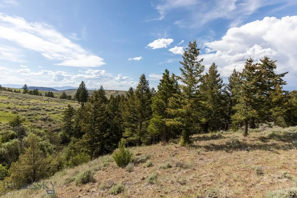 386 Ross Gulch Road Townsend MT 59644