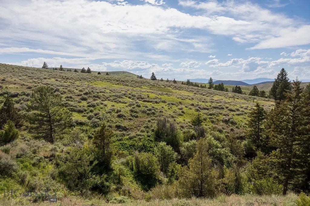386 Ross Gulch Road Townsend MT 59644