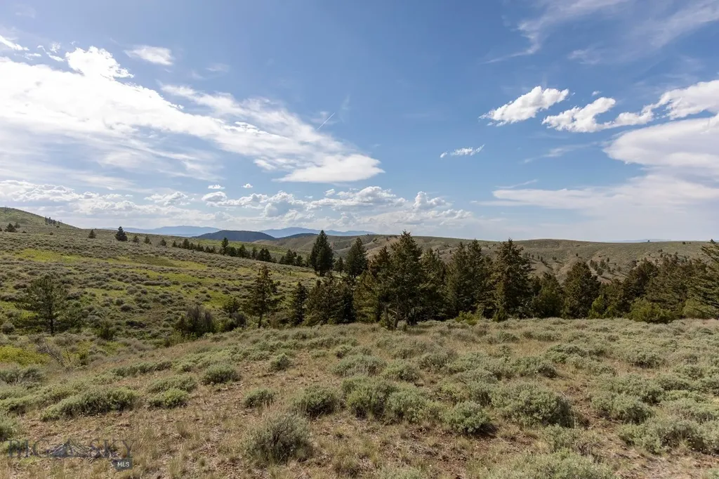 386 Ross Gulch Road Townsend MT 59644