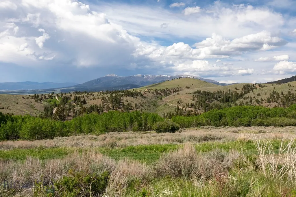 386 Ross Gulch Road Townsend MT 59644