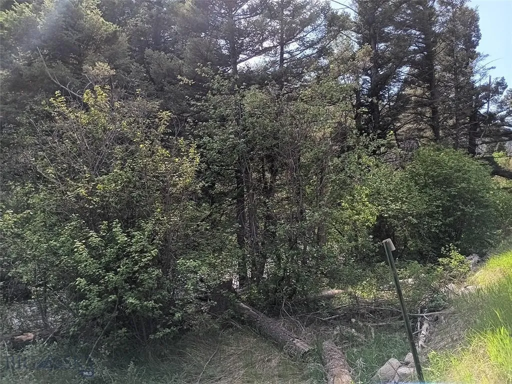 67 Basin Creek Road Boulder MT 59631