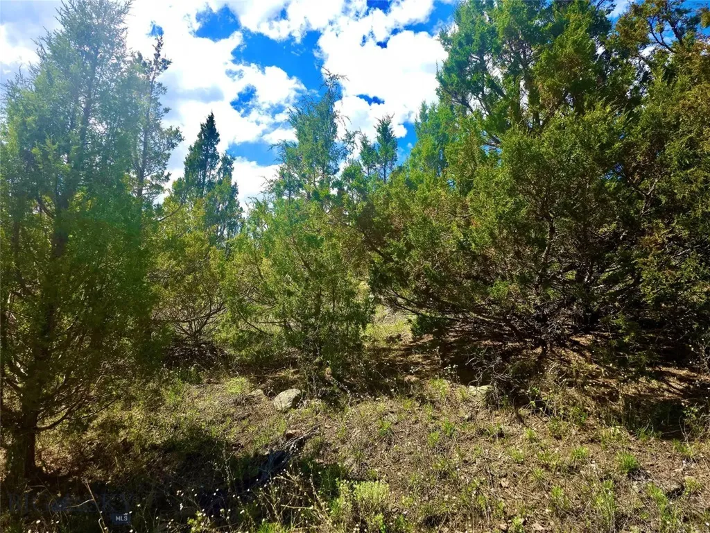 Block 172 Lot 1 - 12 Virginia City MT 59755