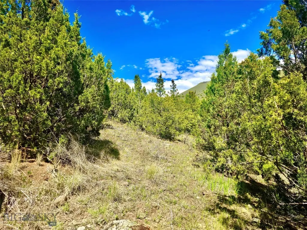 Block 172 Lot 1 - 12 Virginia City MT 59755