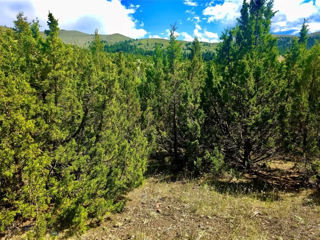 Block 172 Lot 1 - 12 Virginia City MT 59755