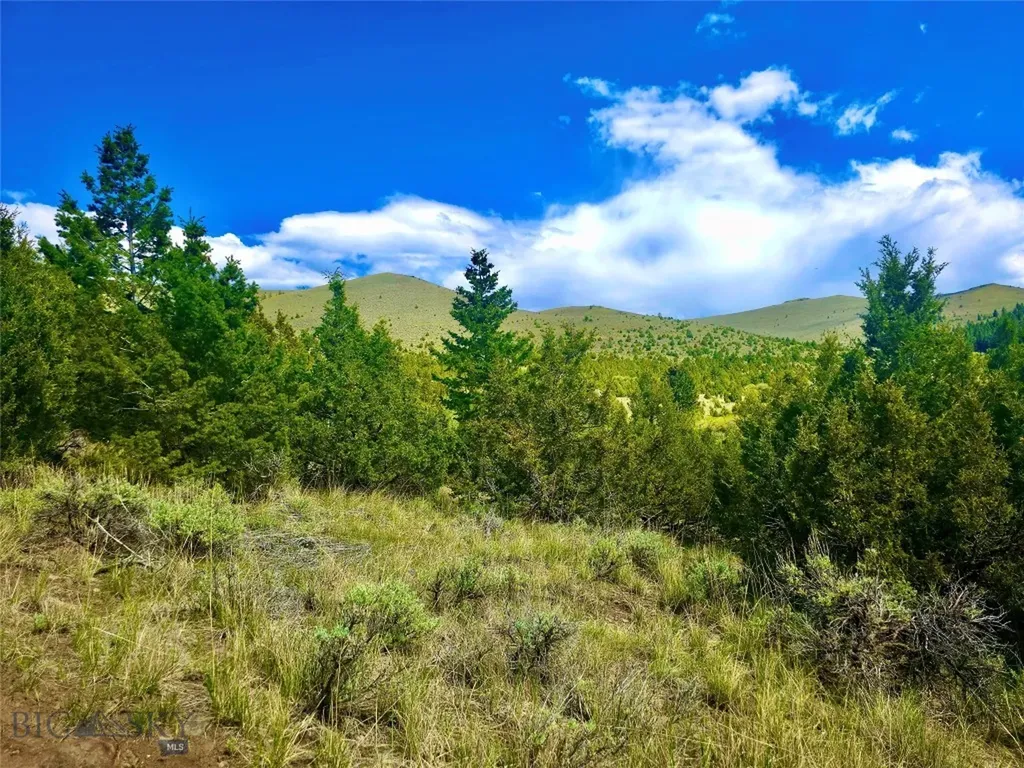 Block 172 Lot 1 - 12 Virginia City MT 59755