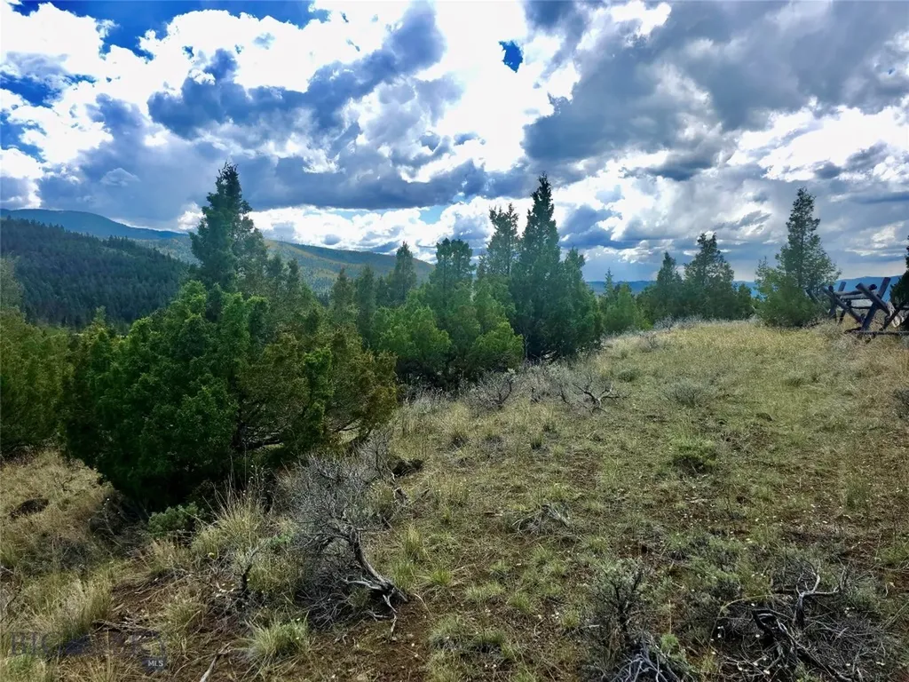 Block 172 Lot 1 - 12 Virginia City MT 59755