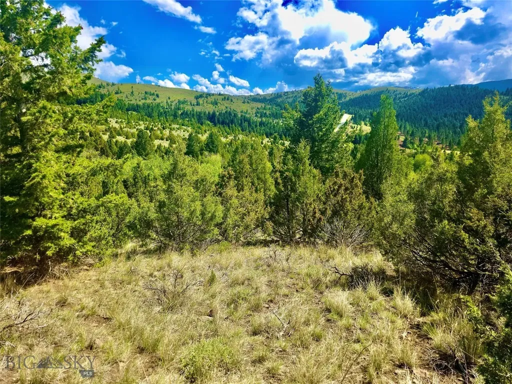 Block 172 Lot 1 - 12 Virginia City MT 59755