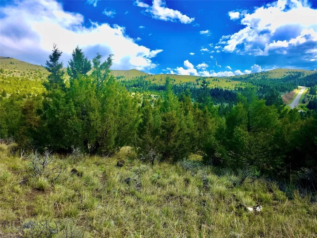 Block 172 Lot 1 - 12 Virginia City MT 59755