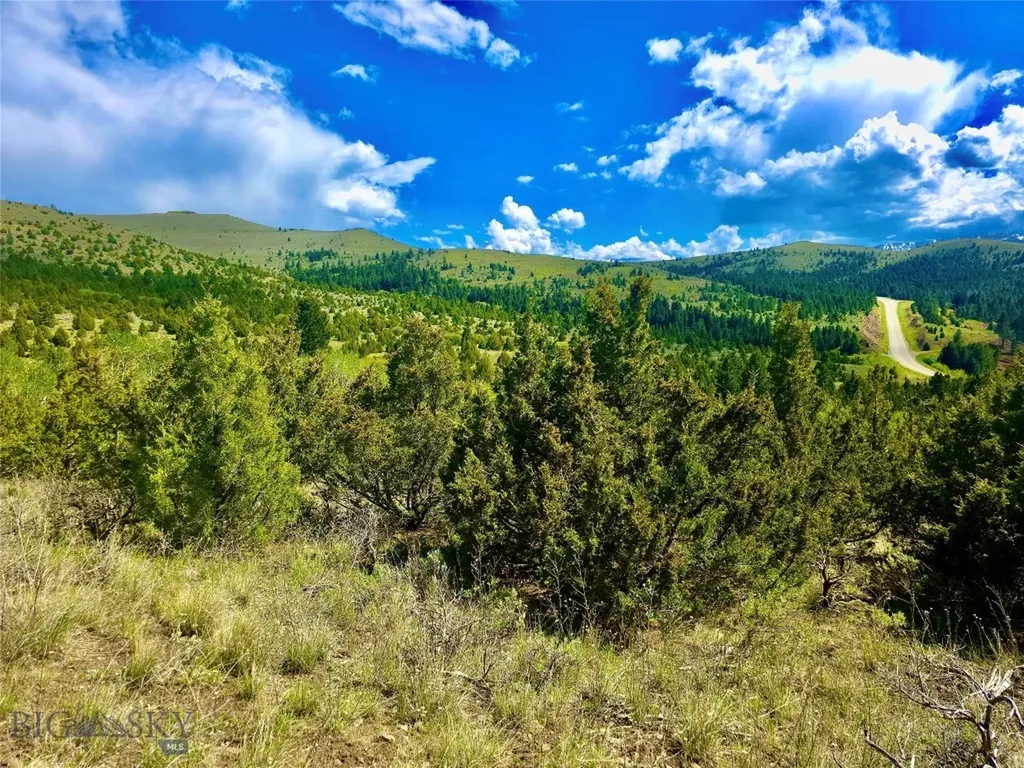 Block 172 Lot 1 - 12 Virginia City MT 59755