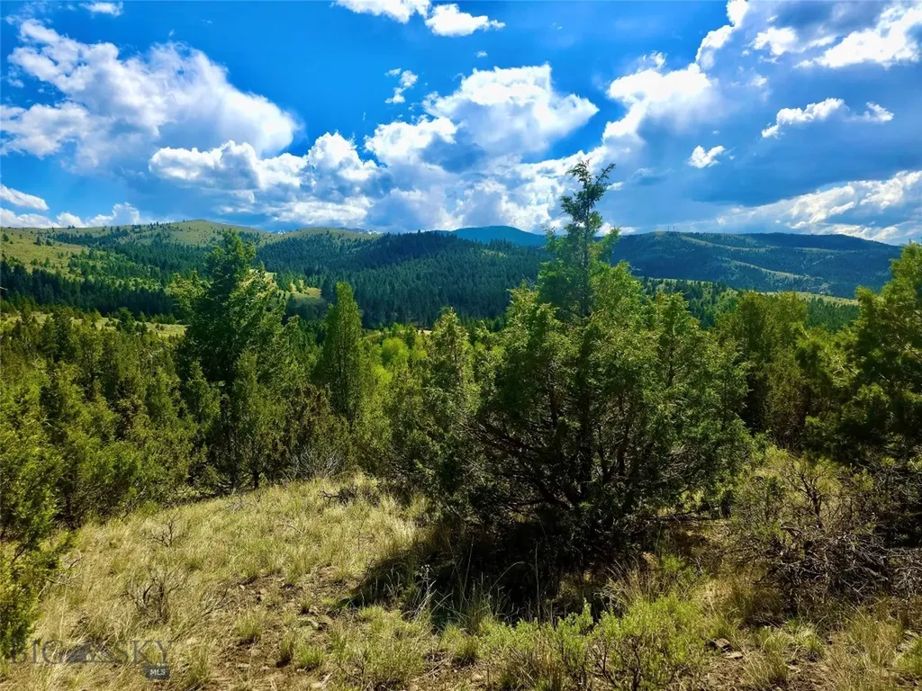 Block 172 Lot 1 - 12 Virginia City MT 59755