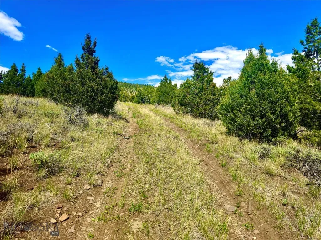 Block 172 Lot 1 - 12 Virginia City MT 59755