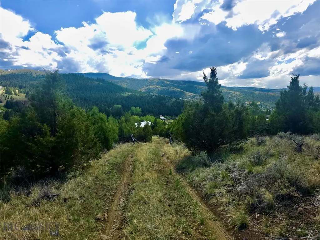 Block 172 Lot 1 - 12 Virginia City MT 59755