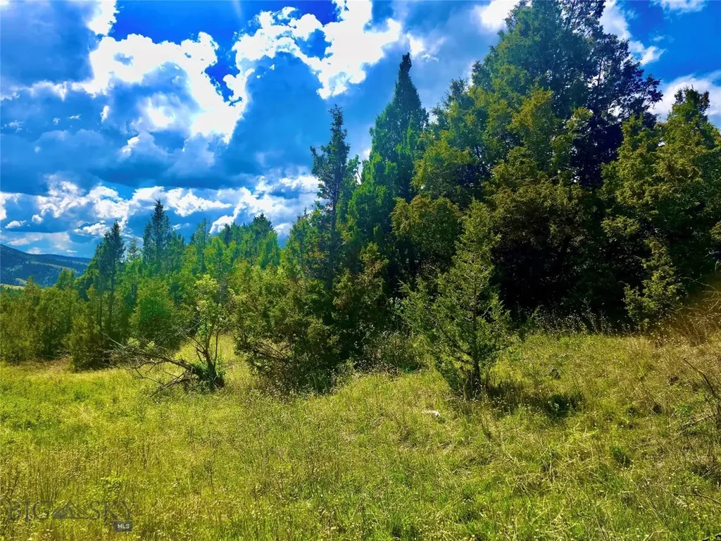 Block 172 Lot 1 - 12 Virginia City MT 59755