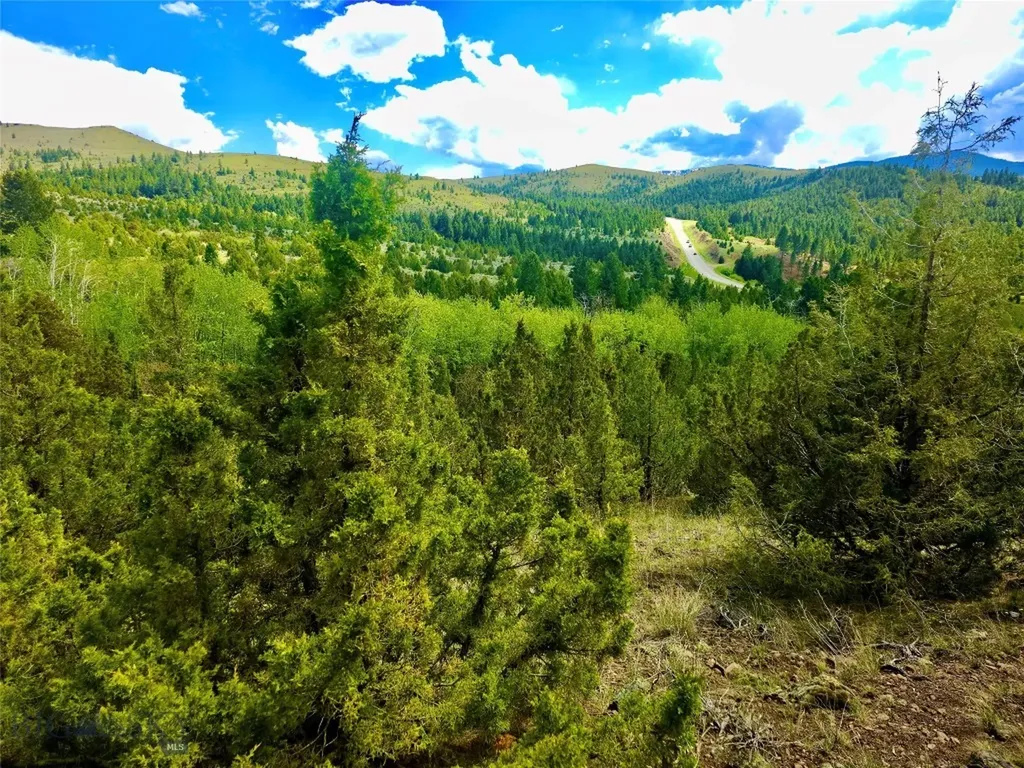 Block 172 Lot 1 - 12 Virginia City MT 59755