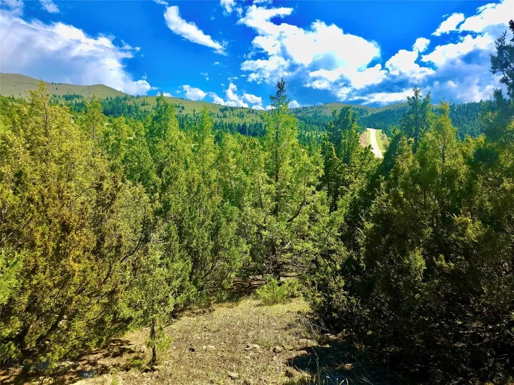 Block 172 Lot 1 - 12 Virginia City MT 59755