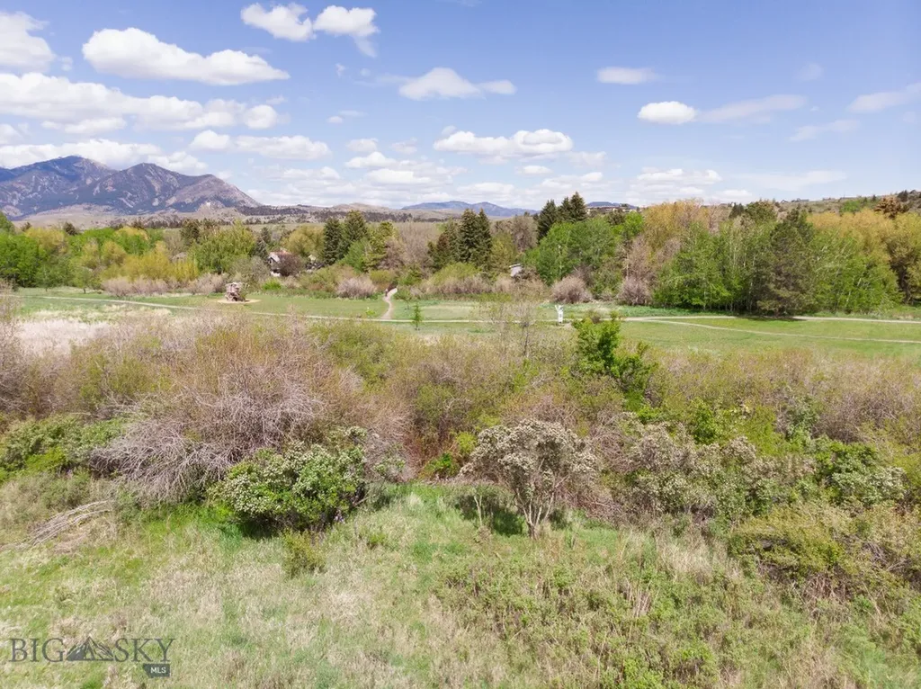 1414 S Willson Bozeman MT 59715