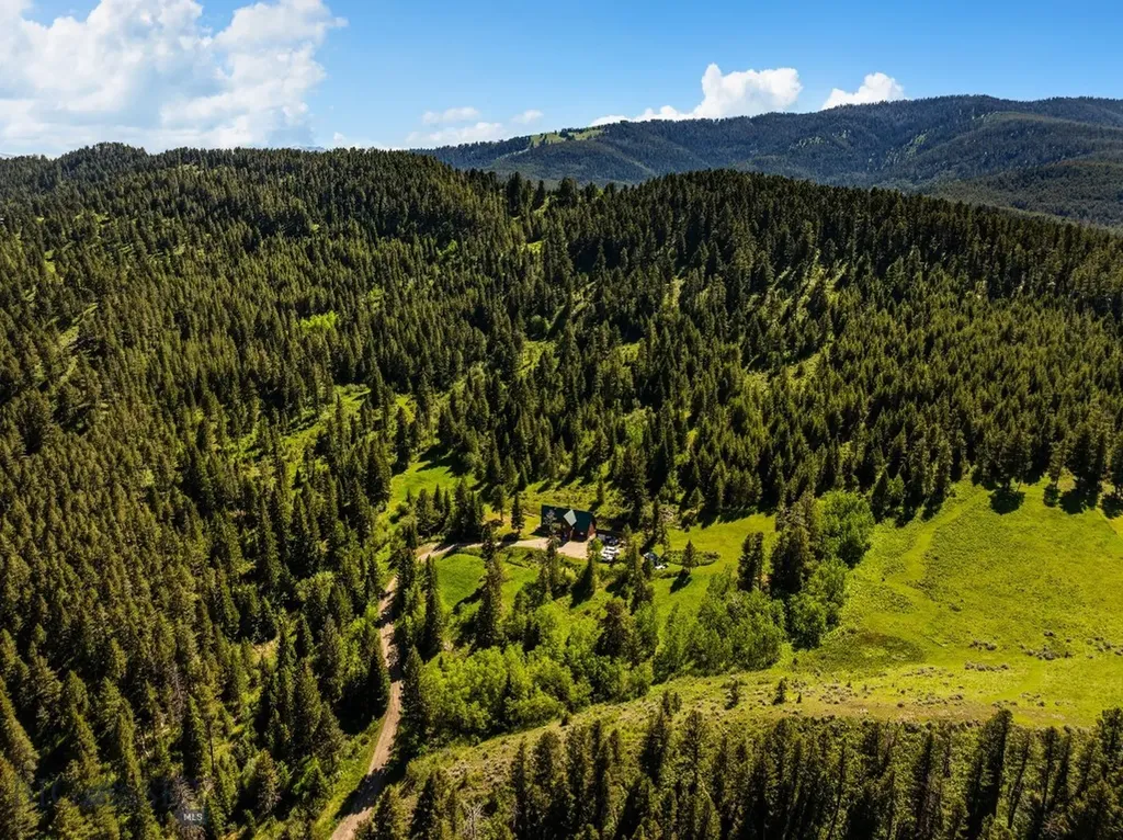 3395 Trail Creek Road Bozeman MT 59715