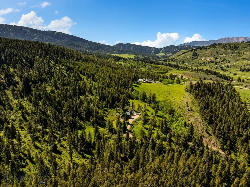 3395 Trail Creek Road Bozeman MT 59715