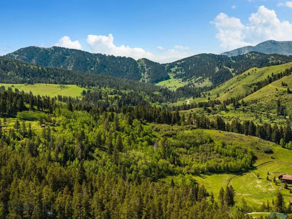 3395 Trail Creek Road Bozeman MT 59715