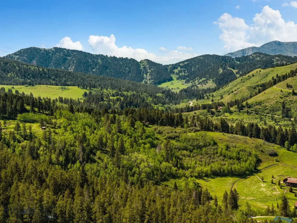 3395 Trail Creek Road Bozeman MT 59715