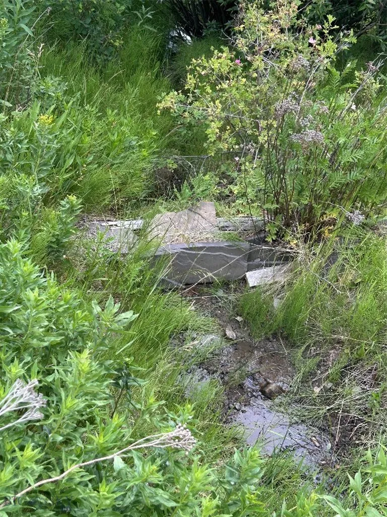 3395 Trail Creek Road Bozeman MT 59715
