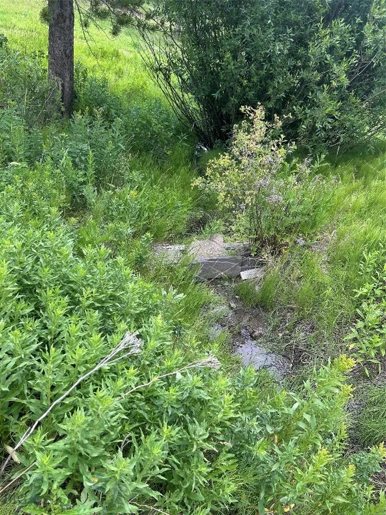 3395 Trail Creek Road Bozeman MT 59715