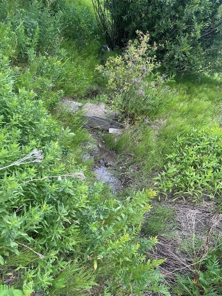 3395 Trail Creek Road Bozeman MT 59715