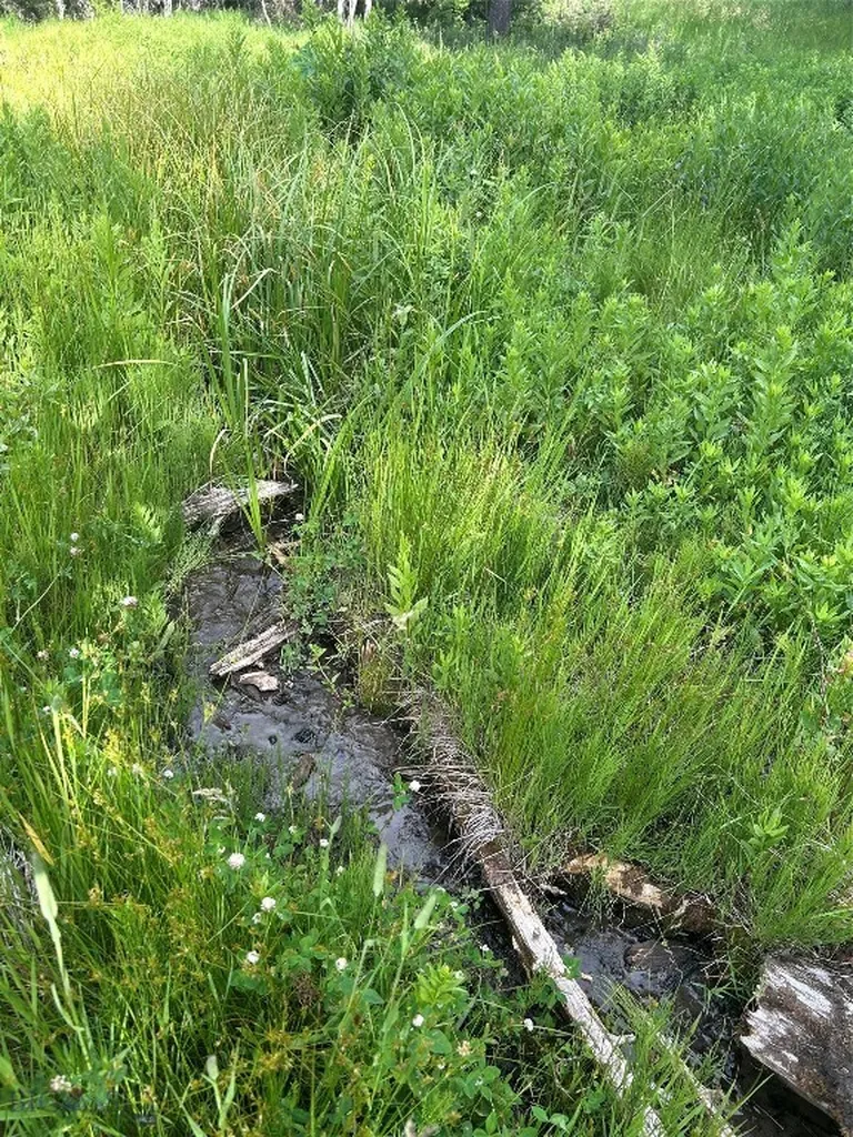 3395 Trail Creek Road Bozeman MT 59715