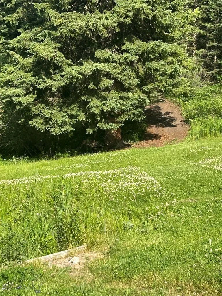 3395 Trail Creek Road Bozeman MT 59715
