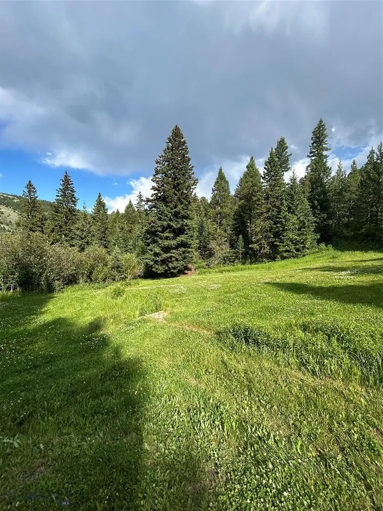 3395 Trail Creek Road Bozeman MT 59715