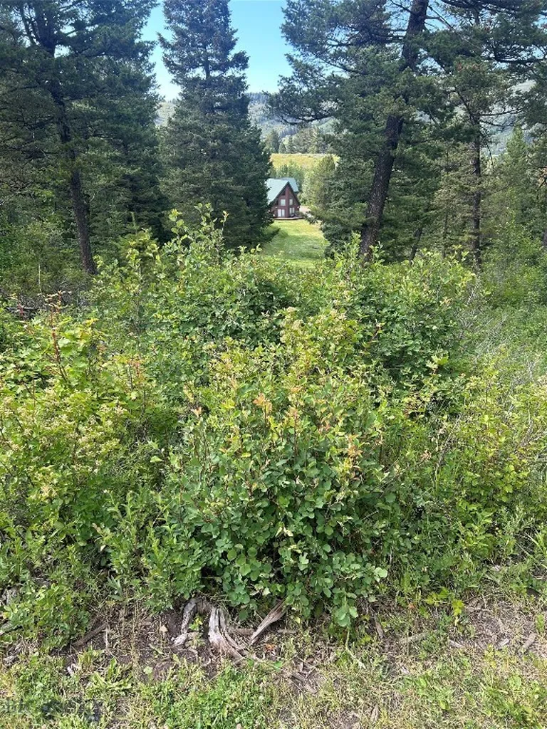 3395 Trail Creek Road Bozeman MT 59715
