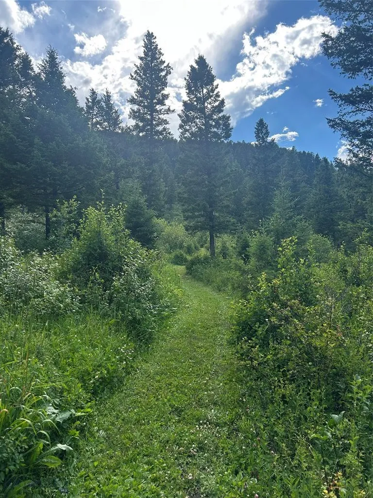3395 Trail Creek Road Bozeman MT 59715