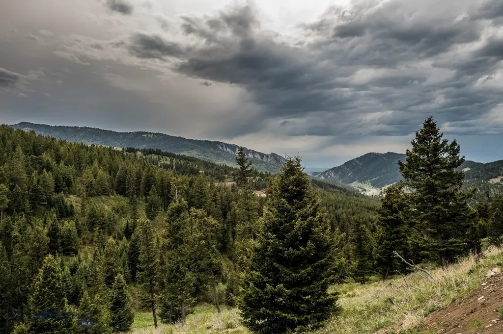 Tbd Woodchuck Road Bozeman MT 59715