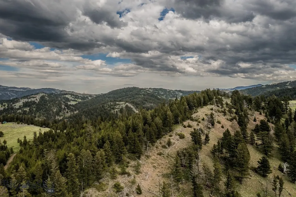 Tbd Woodchuck Road Bozeman MT 59715
