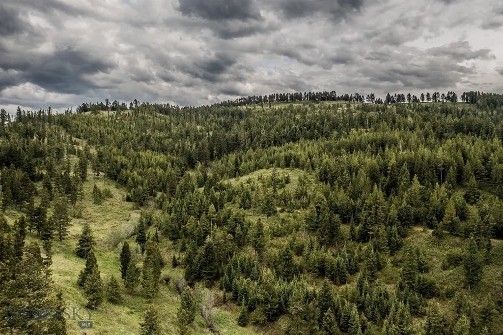 Tbd Woodchuck Road Bozeman MT 59715