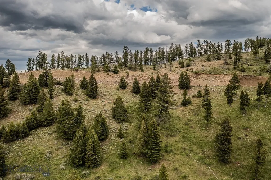 Tbd Woodchuck Road Bozeman MT 59715