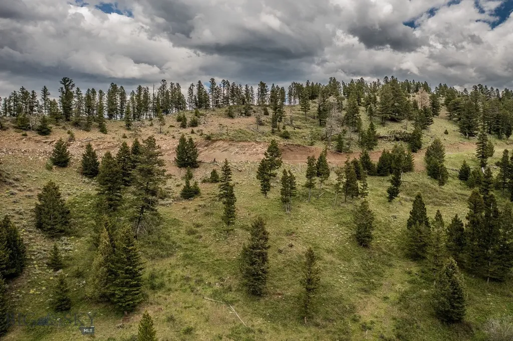 Tbd Woodchuck Road Bozeman MT 59715