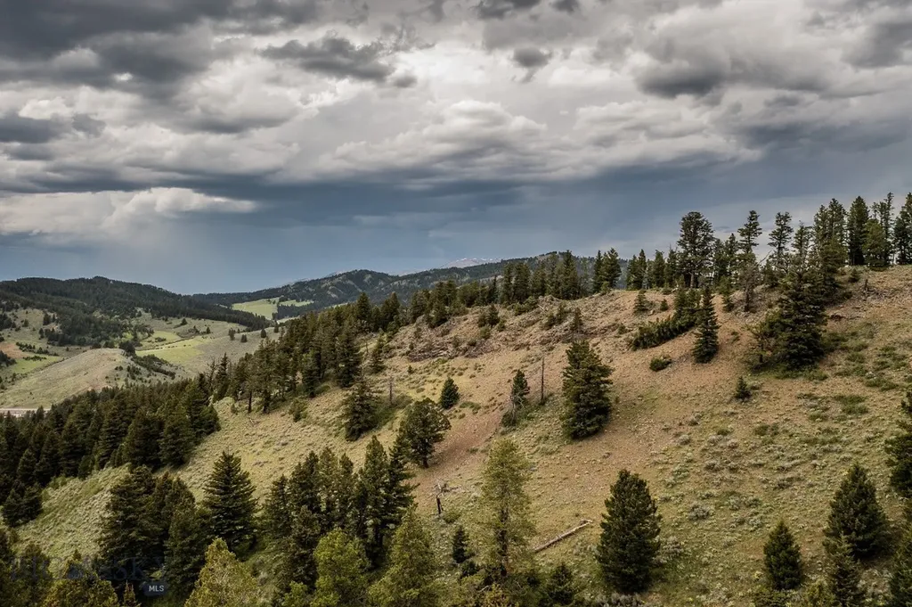 Tbd Woodchuck Road Bozeman MT 59715