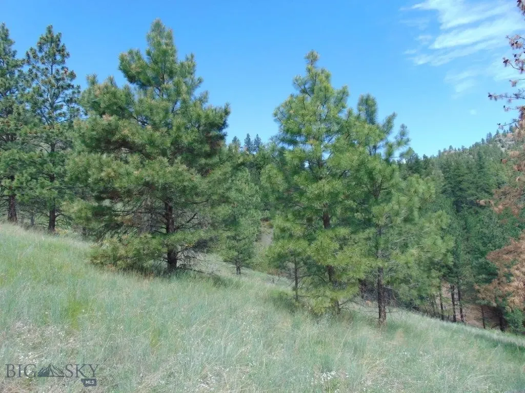 19 Lookout Lane Cascade MT 59421