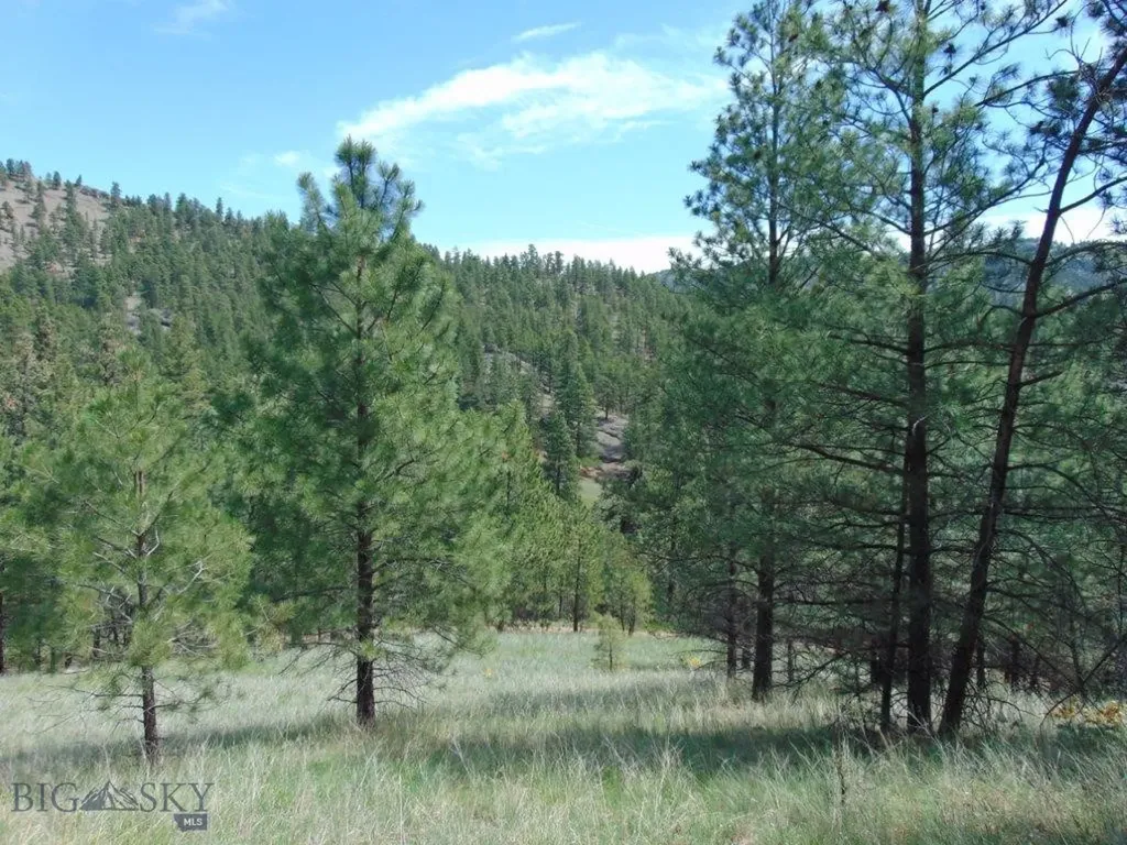 19 Lookout Lane Cascade MT 59421