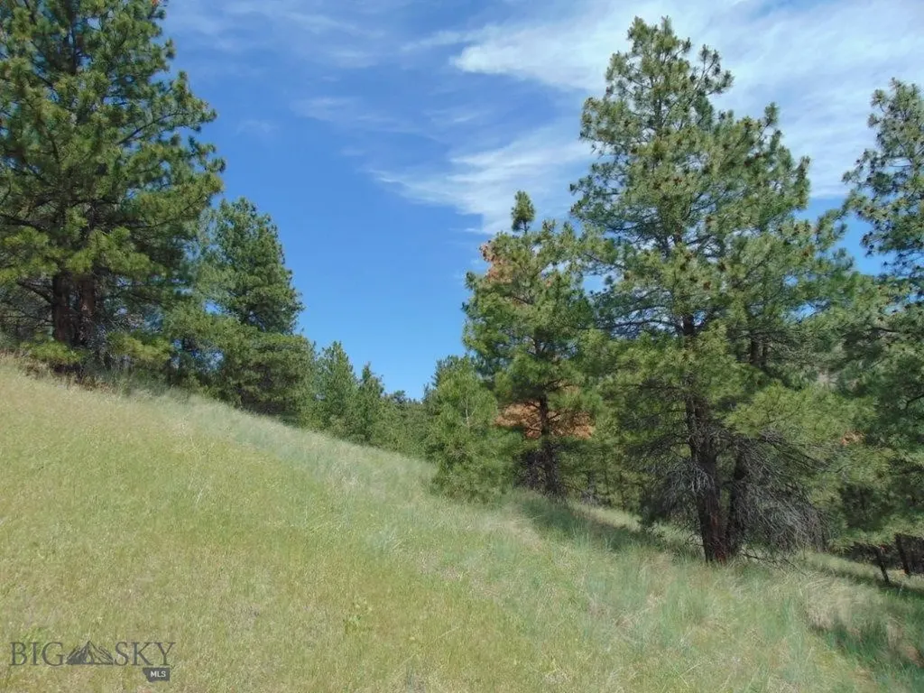 19 Lookout Lane Cascade MT 59421