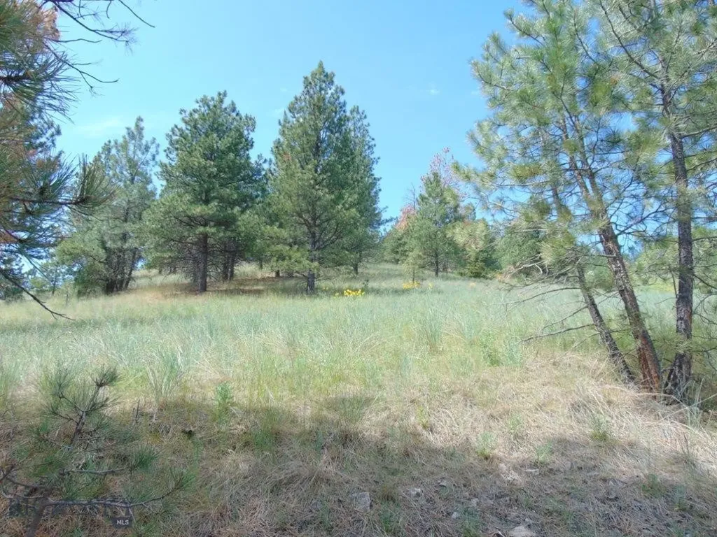 19 Lookout Lane Cascade MT 59421