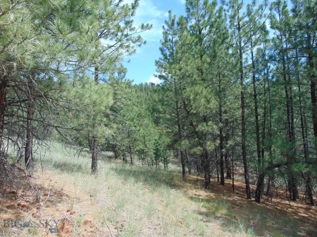 19 Lookout Lane Cascade MT 59421