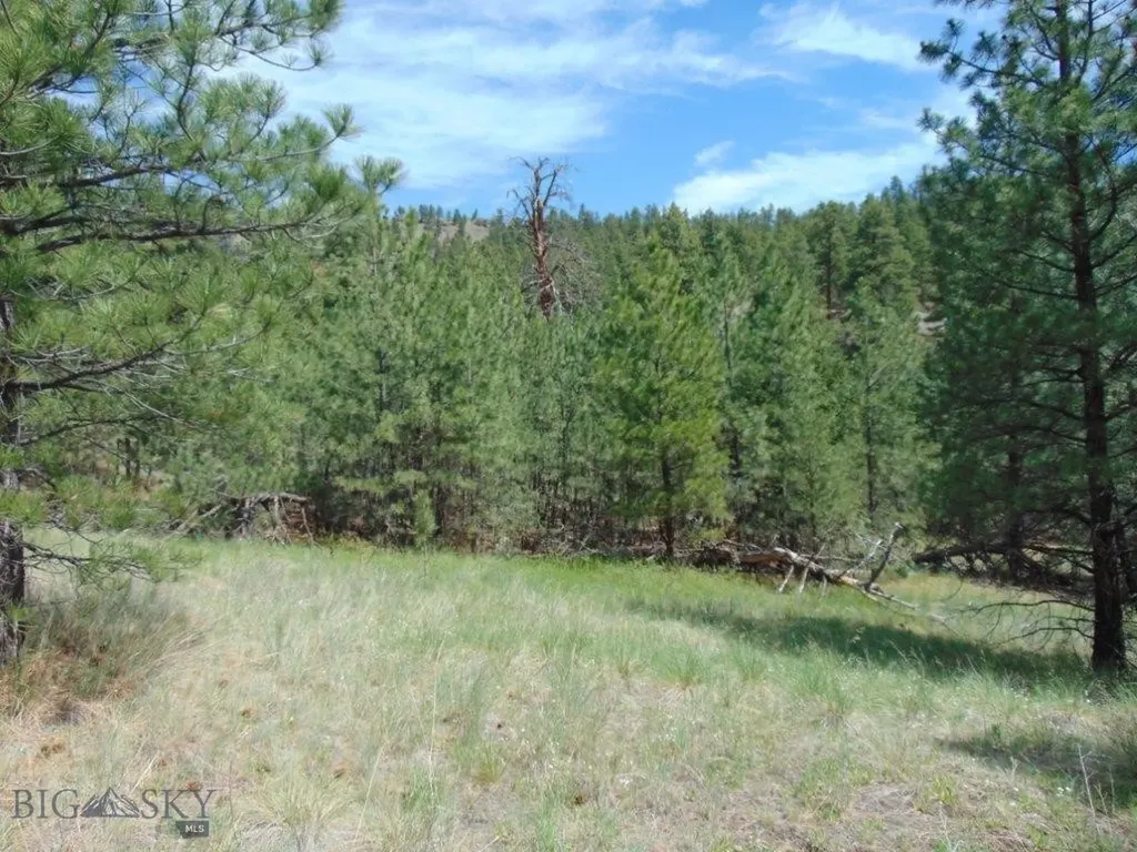 19 Lookout Lane Cascade MT 59421