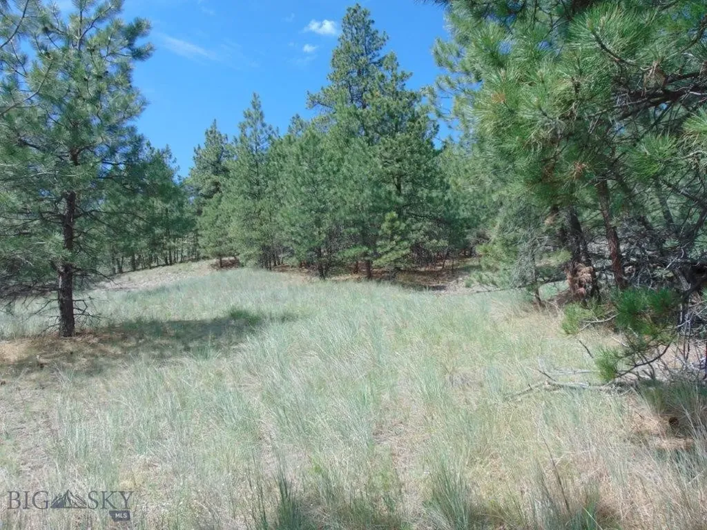 19 Lookout Lane Cascade MT 59421