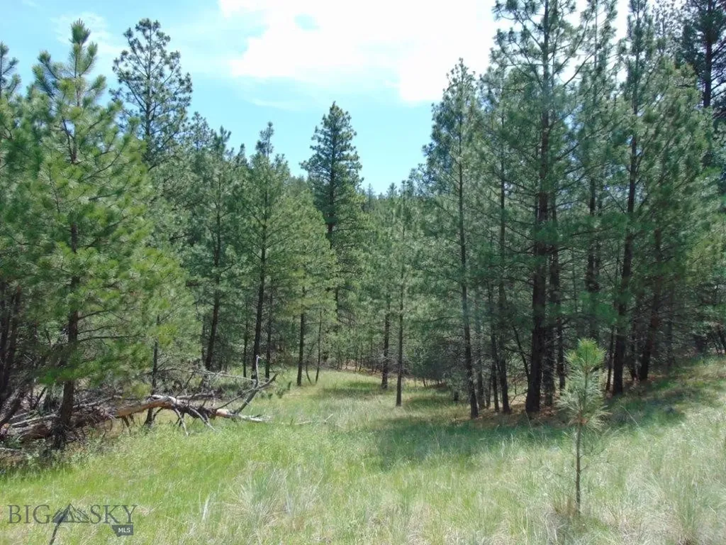 19 Lookout Lane Cascade MT 59421