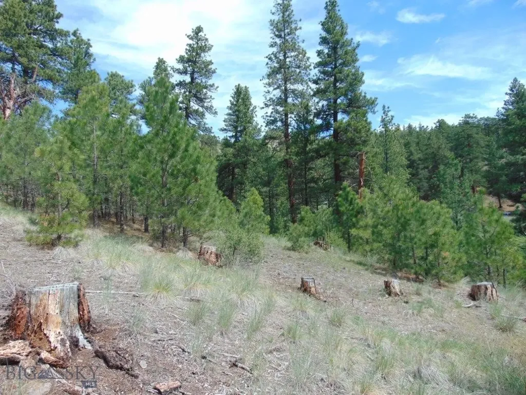 19 Lookout Lane Cascade MT 59421