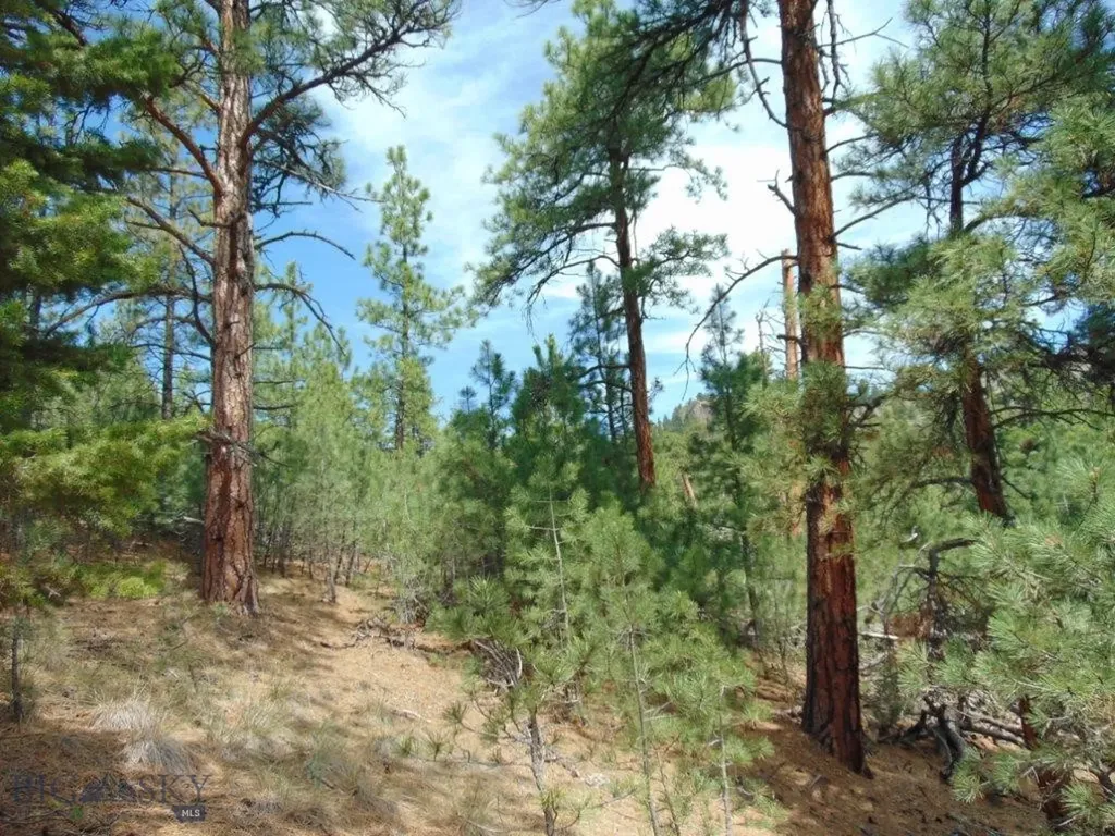 19 Lookout Lane Cascade MT 59421